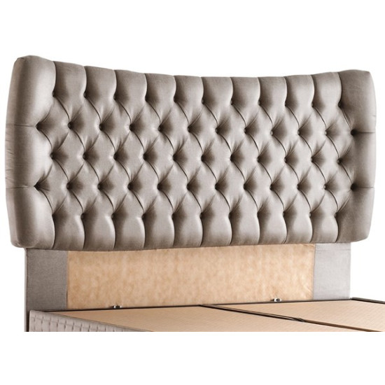 Tlos Baza Başlık - SenetliTlos Baza Başlık