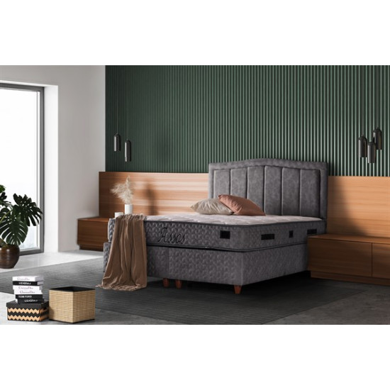 Assos Baza - Elden ÖdemeliAssos Baza