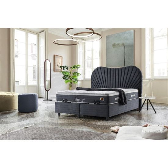 Mimosa Baza - Elden ÖdemeliMimosa Baza