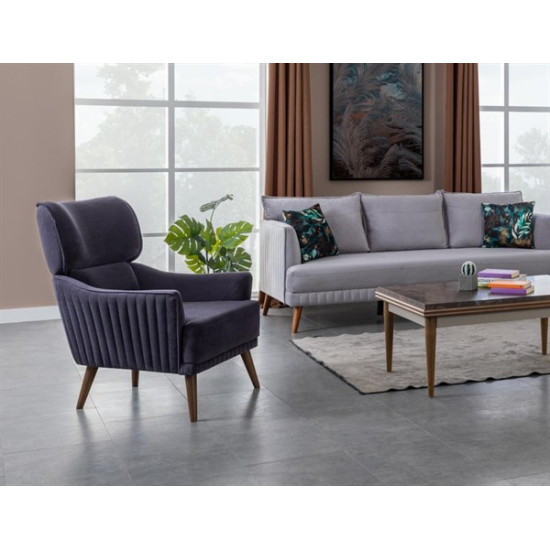 Vıntage Koltuk Takımı - SenetleVıntage Koltuk Takımı